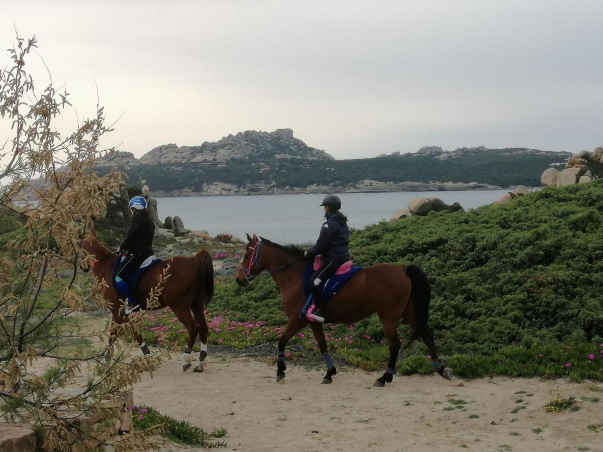 Casa Baia Santa Reparata - Santa Teresa Di Gallura Iun Q1712 Εξωτερικό φωτογραφία